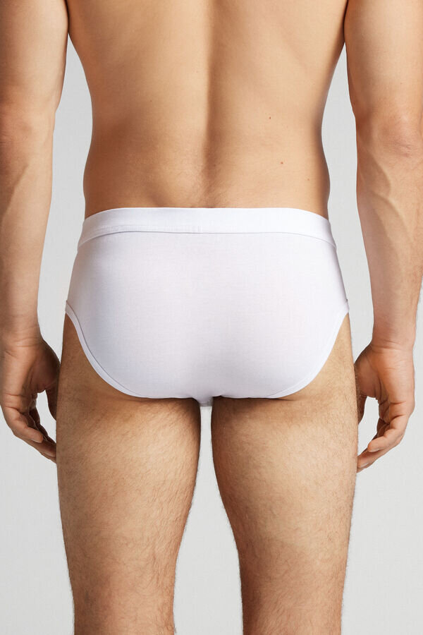 Die unverwüstlichen Slips aus hochwertiger Baumwolle Die unverwüstlichen Slips aus hochwertiger Baumwolle